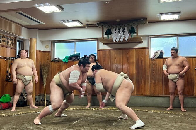 Watch the Real Sumo Morning Practice Tour at Yokozuna Stable - Tour Experience and Expectations