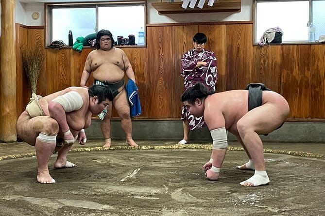 Watch the Real Sumo Morning Practice Tour at Yokozuna Stable - Customer Feedback and Experiences