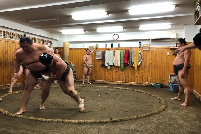 Watch the Real Sumo Morning Practice Tour at Yokozuna Stable - Prepare for Your Sumo Morning Practice Tour