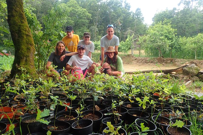 Waterfall, Lagoon and Old Village in Peneda-Gerês National Park - Exploring the National Park