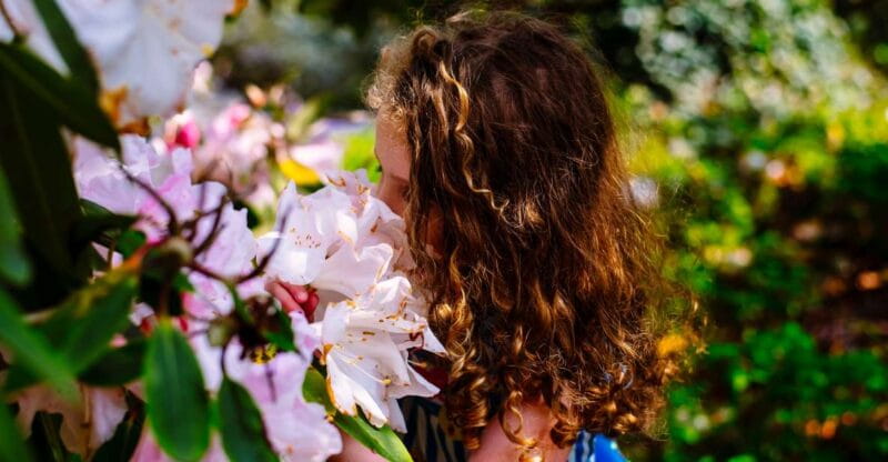 Waterford: Mount Congreve Gardens Entry Ticket - Entering The Gardens: First Impressions