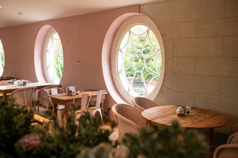 Waterford: Mount Congreve Gardens Entry Ticket - Additional Experiences: Forest Bathing and More