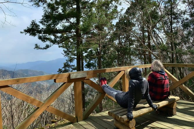 WE LOVE SHINRIN-YOKU Tour (1-Day) - Accessibility and Health Considerations