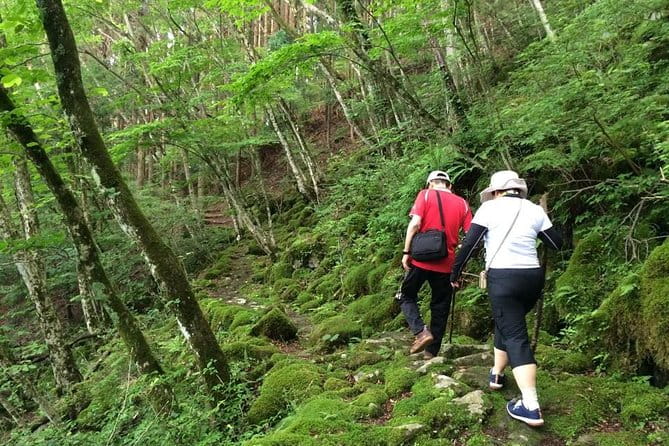 WE LOVE SHINRIN-YOKU Tour (1-Day) - Cancellation Policy