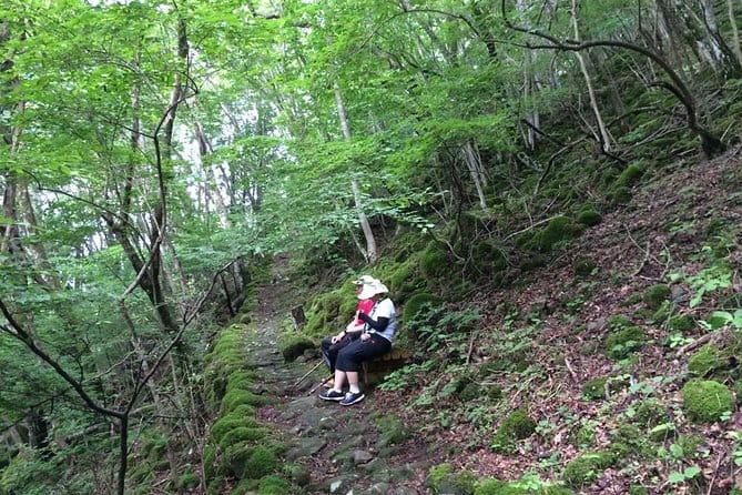 WE LOVE SHINRIN-YOKU Tour (1-Day) - Reviews and Feedback