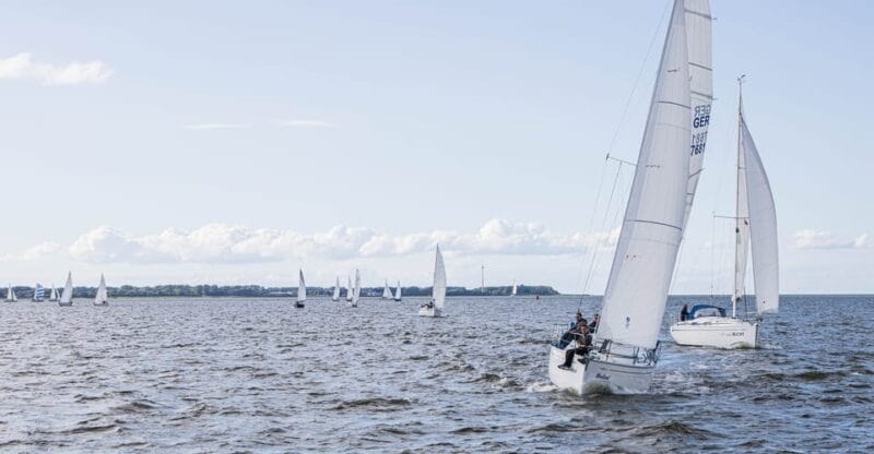 Wednesday Regatta with harbour tour - Key Points / Takeaways