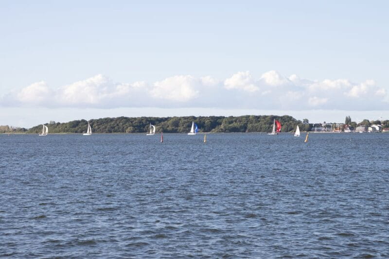 Wednesday Regatta with harbour tour - Authenticity and Unique Details