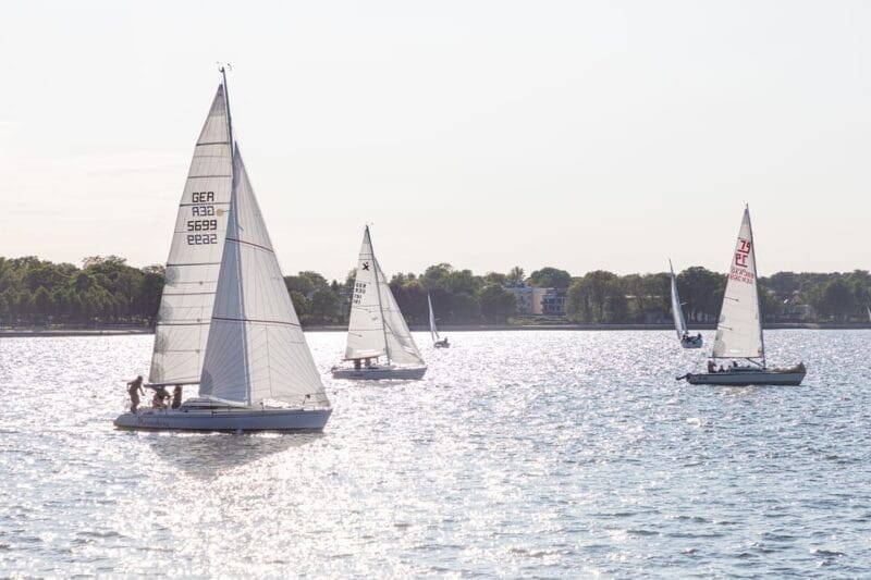 Wednesday Regatta with harbour tour - Final Thoughts: Is This Experience Worth It?