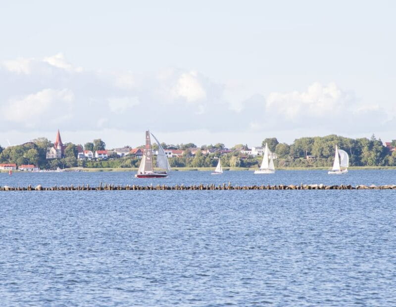 Wednesday Regatta with harbour tour - FAQs