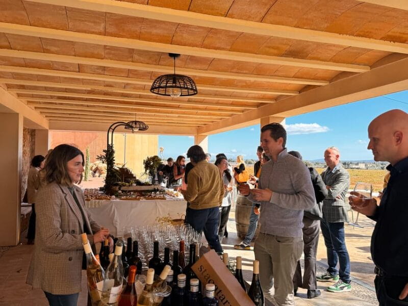 Weinsonntag auf Mallorca - Experiencing Mallorca’s Wineries: What to Expect at Weinsonntag