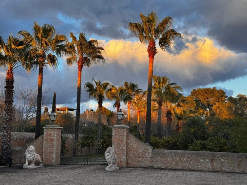 Weinsonntag auf Mallorca - Who Should Consider Booking?