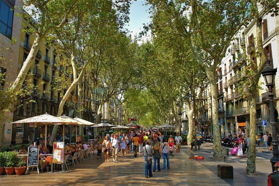 Welcome to Barcelona! Your Essential Orientation Tour. - Flexibility and Customization