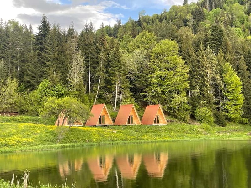 welcome to georgia discover together - Key points / Takeaways