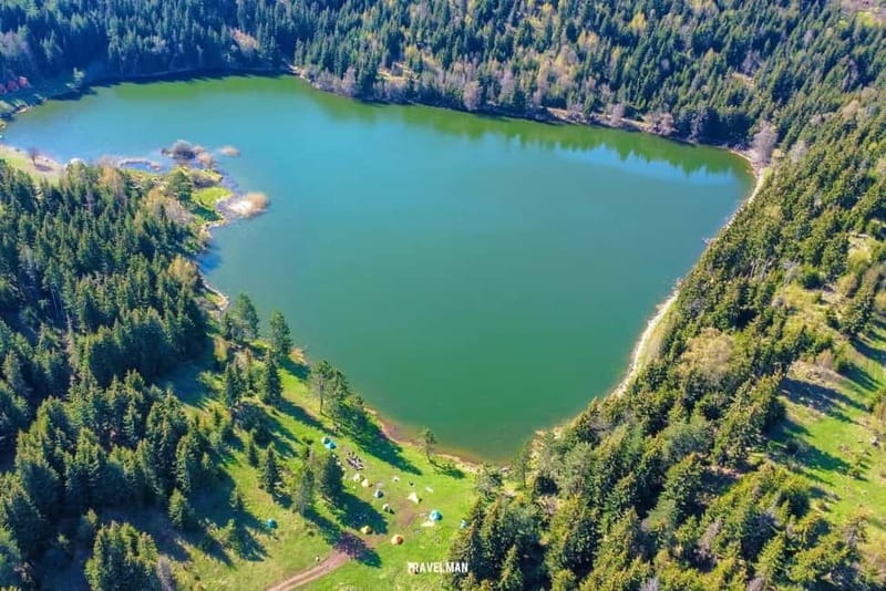 welcome to georgia discover together - Discover Georgia Through the Eyes of a Local Guide