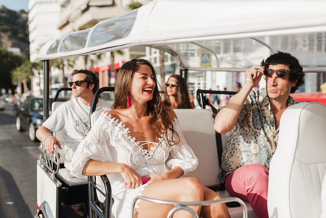 Welcome Tour to Malaga in Private Eco Tuk Tuk - Potential Disruptions