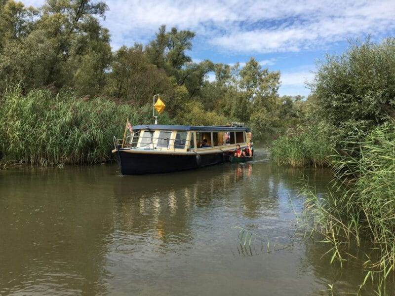 Werkendam: Boat Cruise and Biesbosch Museum Entry Ticket - Key Points / Takeaways