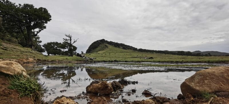 West: 4x4 Tour | Seixal Beach | Porto Moniz Natural Pools | - FAQ