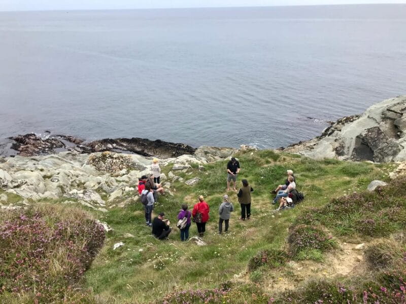 West Cork: Toe Head Clifftop Hike with Coffee & Cookies - Who This Tour Is Best For