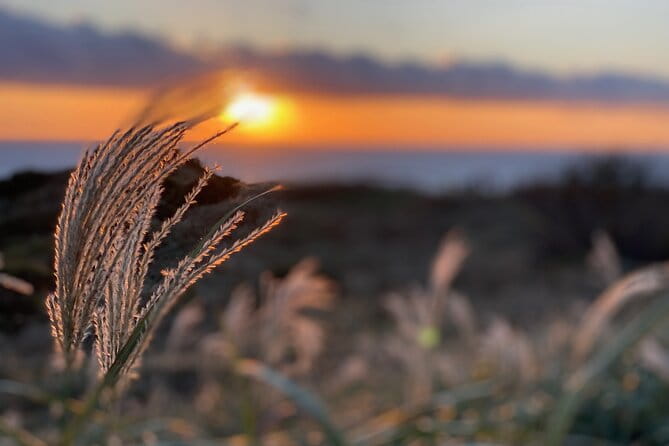 West Izu Sunset Private Tour - Frequently Asked Questions