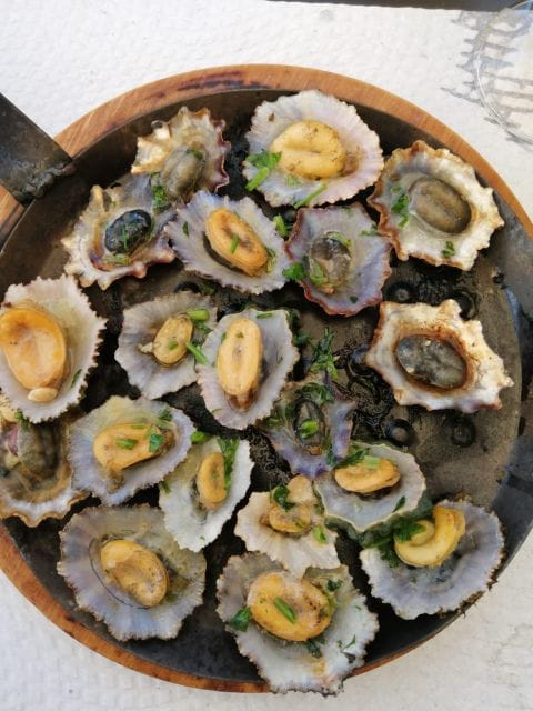 West Madeira:, Laurel Forest, Waterfall, Rock Pools, Walk - The Bride’s Veil Waterfall and Scenic Drive Back