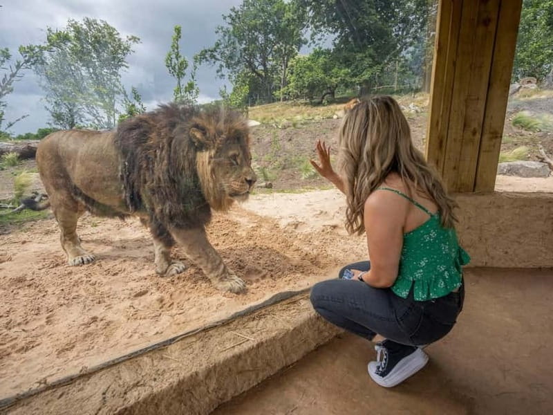 West Midlands Safari Park: Day Admission Ticket - On-Foot Attractions: From Penguins to Prehistoric Creatures