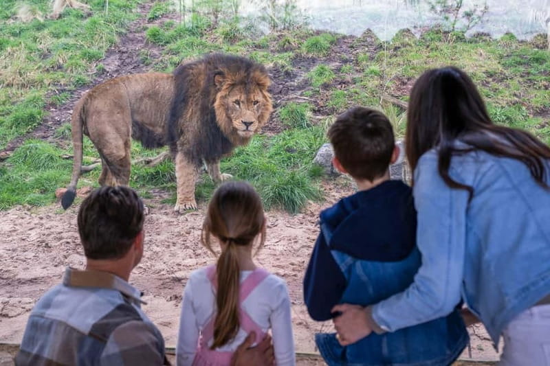 West Midlands Safari Park: Day Admission Ticket - Final Thoughts: Is It Worth It?