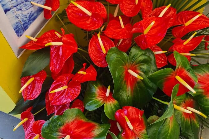 West of Madeira Private Half-Day Tour - Key Points / Takeaways