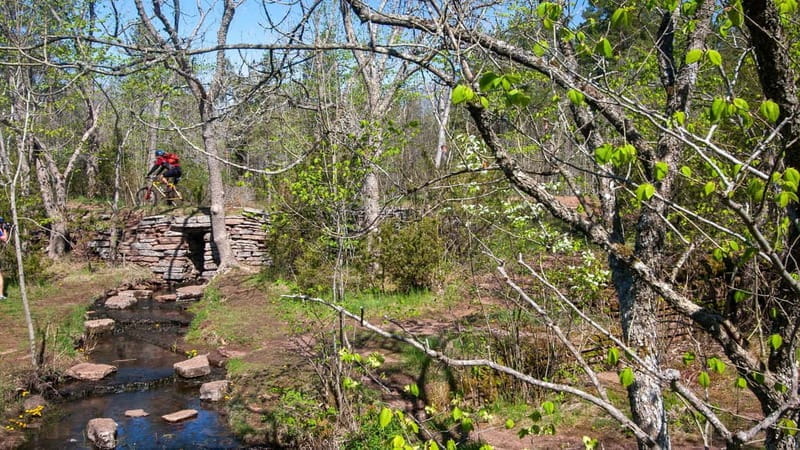 West Sweden: Mountainbike Monday - Final Thoughts: Who Is This Tour Right For?