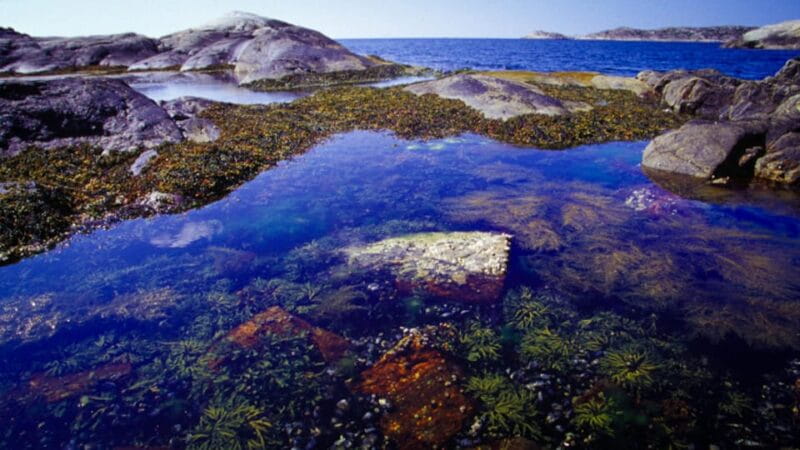 West Sweden: Self Guided Kayak Tour - Southern Route - Who Will Love This Experience?