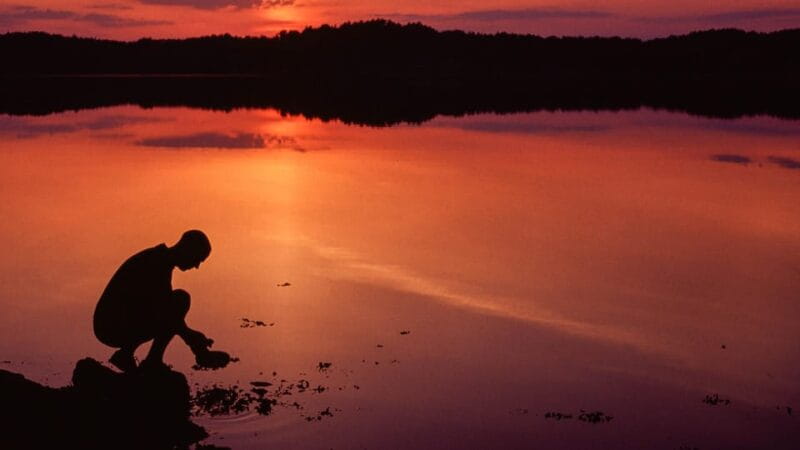 West Sweden: Self Guided Kayak Tour - Southern Route - The Sum Up: Who Should Sign Up?