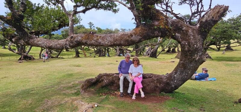 West Tour Madeira Island - FAQ