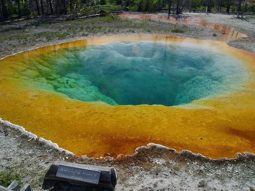 West Yellowstone: Yellowstone Day Tour Including Entry Fee - Key Points