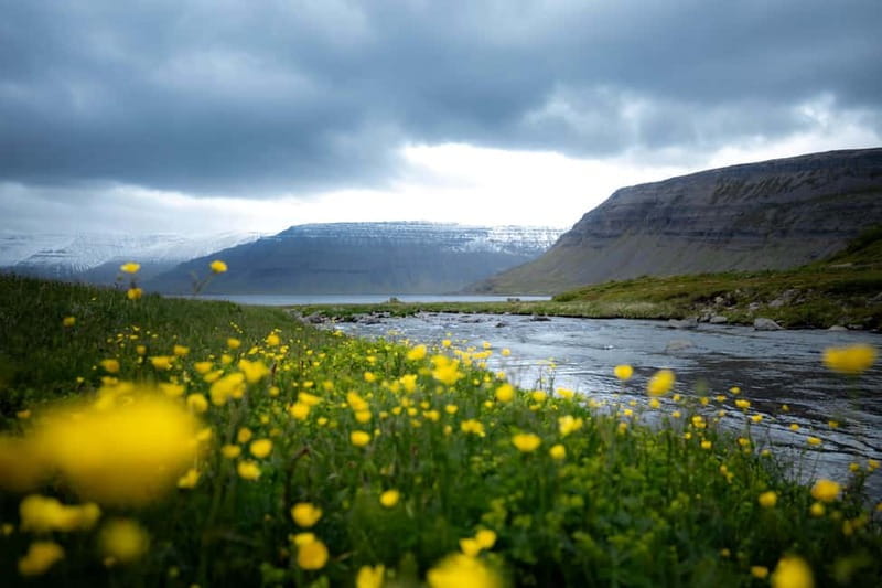 Westfjords Express Half-Day Tour from Ísafjörður - Price, Logistics, and Practical Considerations