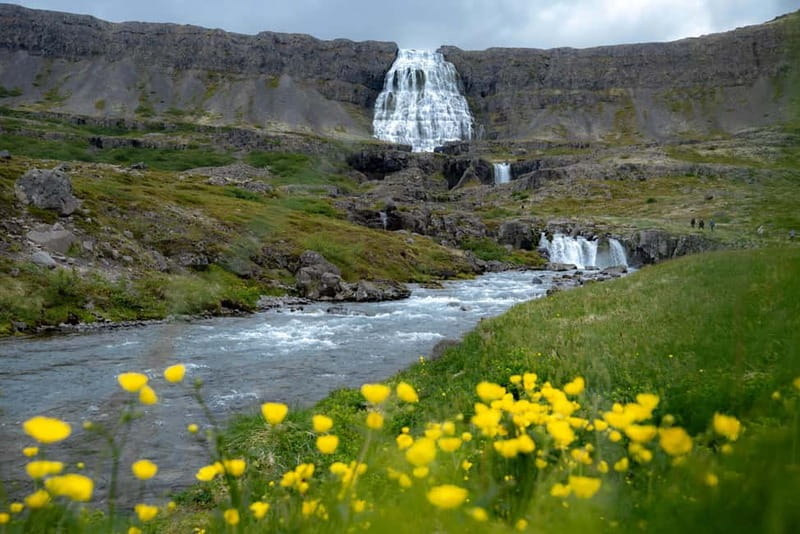 Westfjords Express Half-Day Tour from Ísafjörður - Who This Tour Suits Best