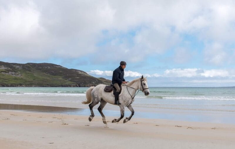 Westport: Beach and Countryside Guided Horse Ride - Key Points and Takeaways