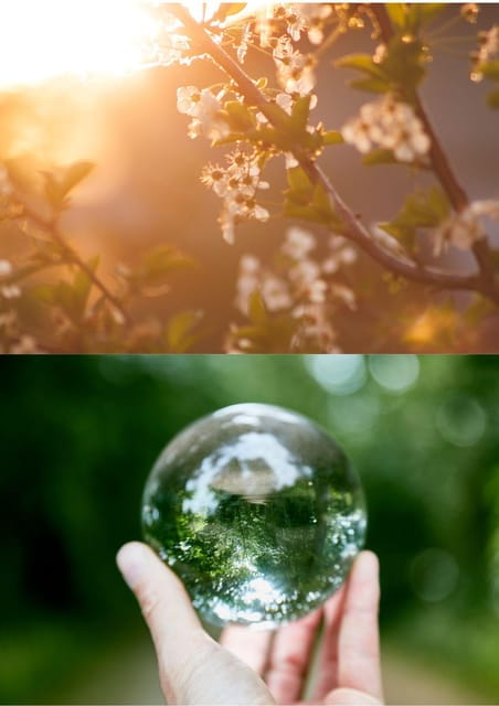 Wexford: A Mindful Retreat Forest Bathing & Nature Therapy - Key Points / Takeaways