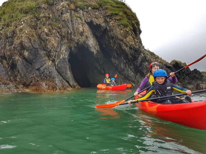 Wexford: Family-Friendly Sea Kayaking Adventure - Wildlife Encounters: Seals, Dolphins, and More