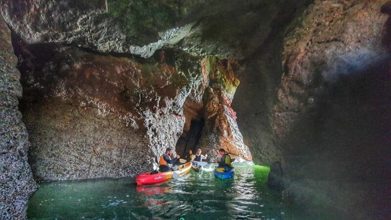 Wexford: Hell Hole & Back Sea Cave Kayaking - Exploring Wexford’s Coastal Wonders: A Deep Dive