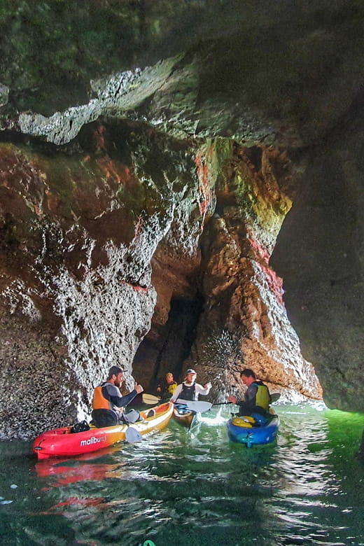 Wexford: Hell Hole & Back Sea Cave Kayaking - Final Thoughts: Authentic Adventure in Wexford