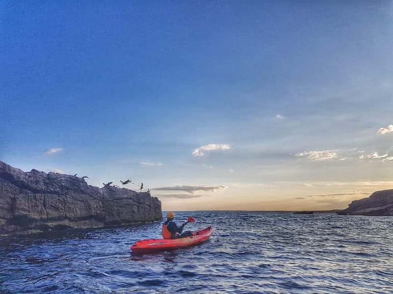 Wexford: Sunset Kayaking Experience - Safety Briefing and Equipment