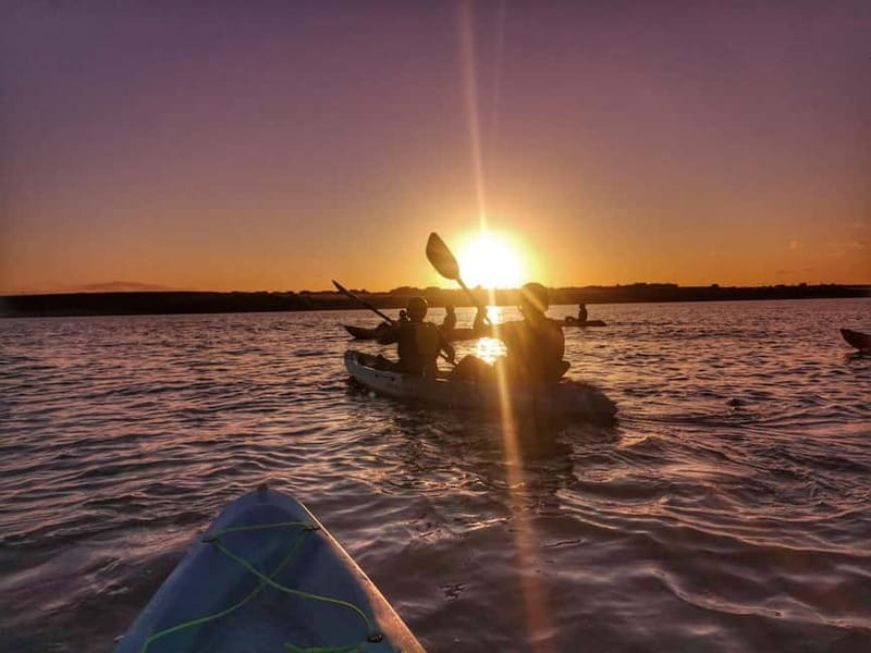 Wexford: Sunset Kayaking Experience - What’s Included and What to Prepare