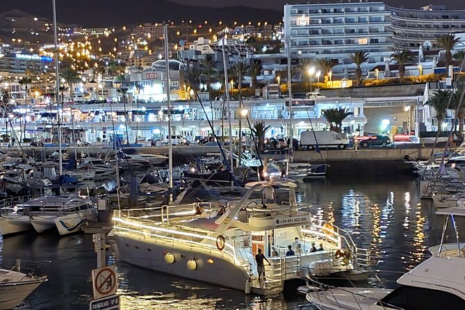 Whale and Dolphin Watching Catamaran With Transfer and Buffet - Whale and Dolphin Sightings