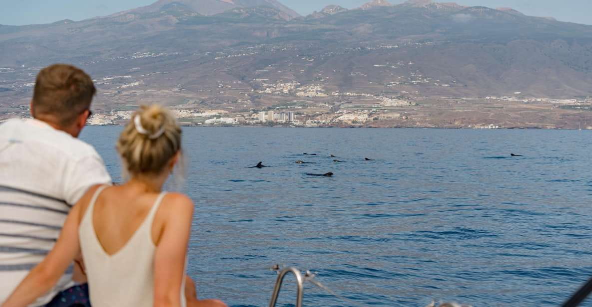 Whale and Dolphin Watching Yacht Trip in Puerto Colon - Key Points