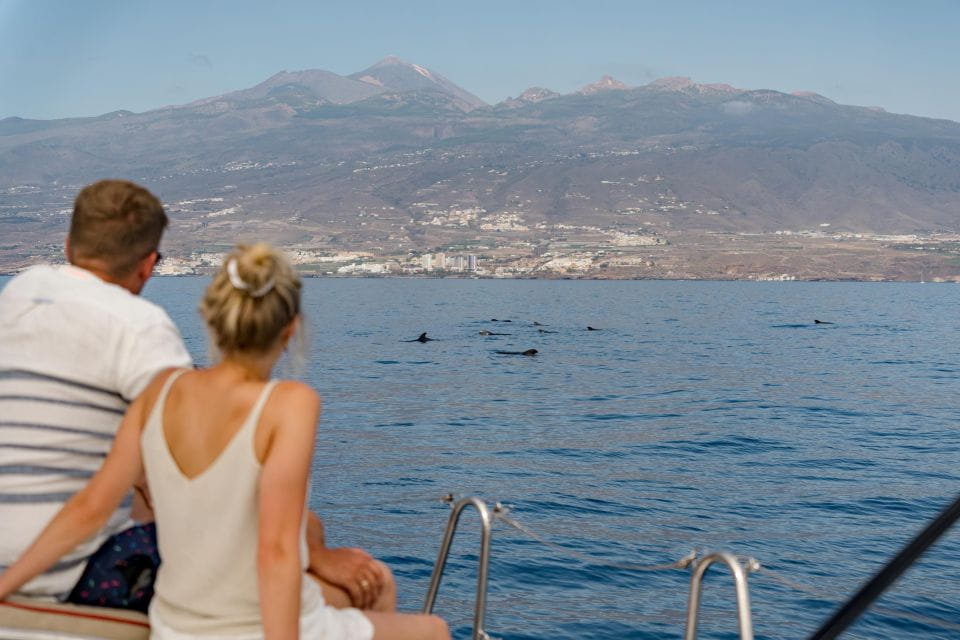 Whale and Dolphin Watching Yacht Trip in Puerto Colon - Participant Requirements