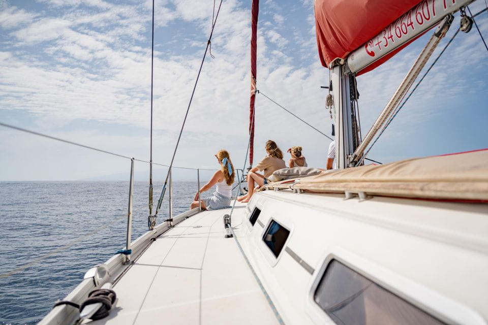 Whale and Dolphin Watching Yacht Trip in Puerto Colon - Best Time to Visit