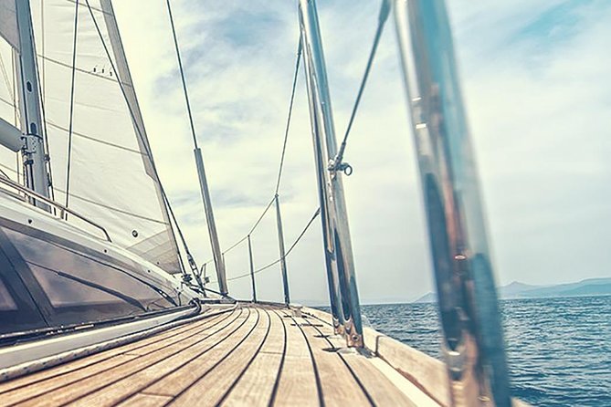 Whale and Dolphin Watching Yacht Trip in Puerto Colon - Important Information to Consider