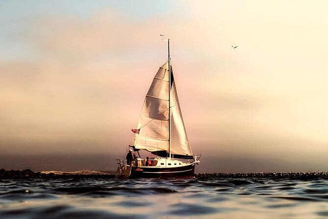 Whale & Dolphin Watching Boat Trip in Tenerife On a Sailing Boat (3 Hr) - Experience Breakdown: A Closer Look at What to Expect