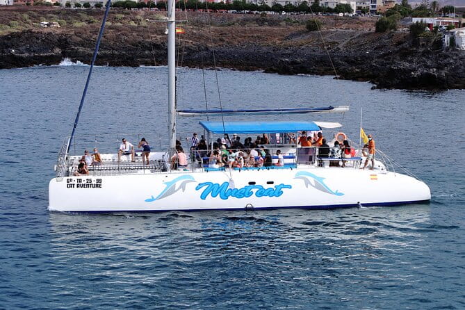 Whale & Dolphin Watching With Mustcat Virgin Coast Trip On a Large Catamaran - Final Thoughts: Is It Worth It?