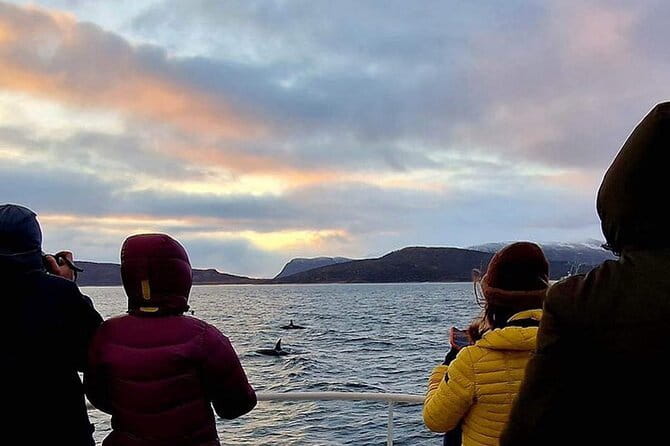 Whale Safari in Tromso - Experience Overview: What to Expect from the Tromsø Whale Safari