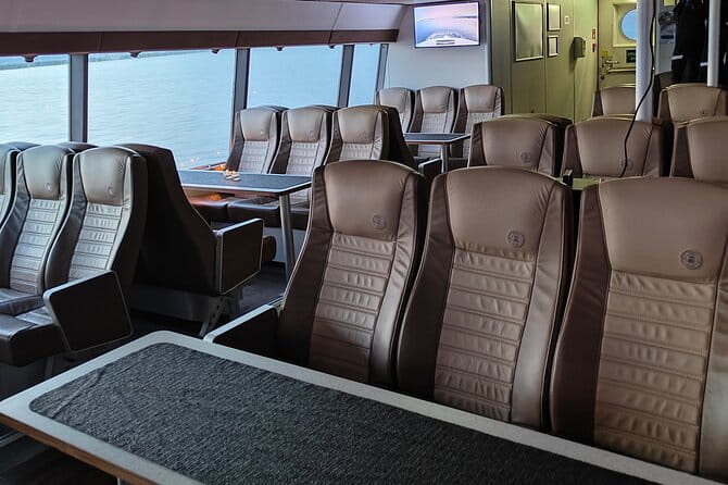 Whale Safari in Tromso - Tips for Making the Most of Your Trip